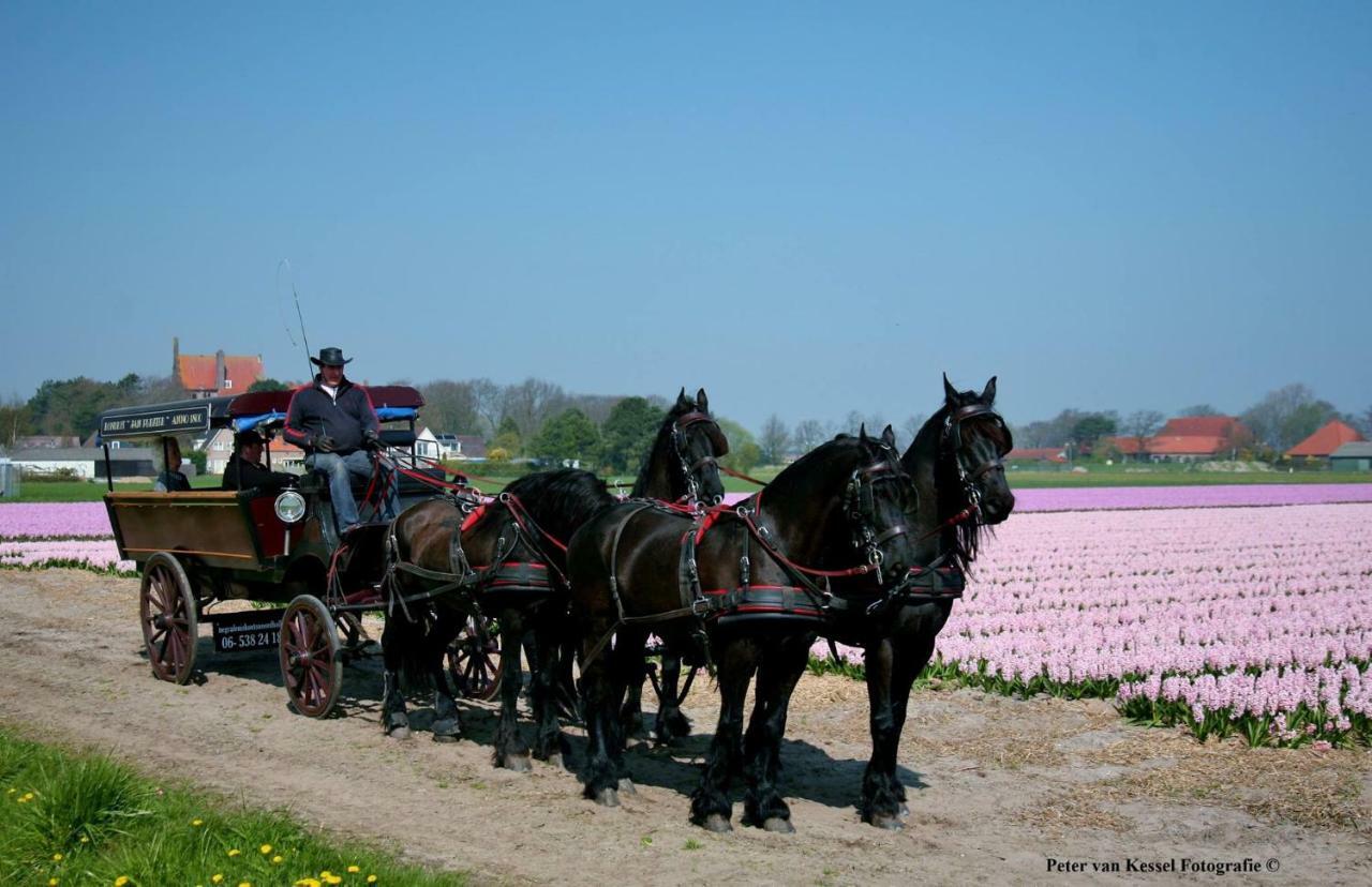 Sterrenhoeve Castricum Luaran gambar